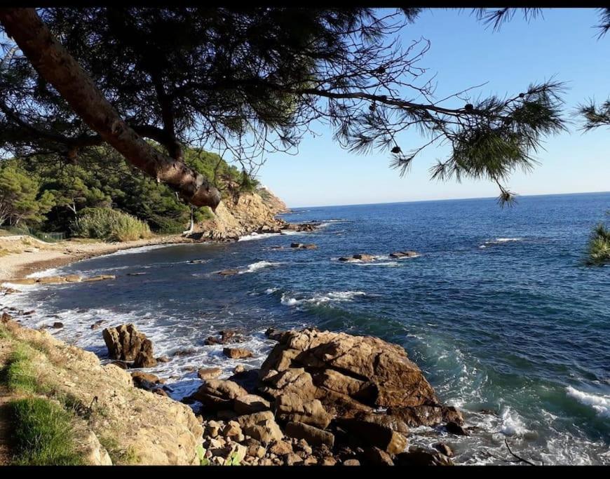 Superbe Appartement Neuf Aucalme Saint-Mandrier-sur-Mer Buitenkant foto